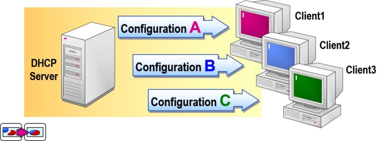 Examining Option Classes