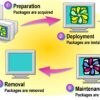 Examining the Software Life Cycle