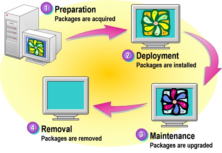 Examining the Software Life Cycle
