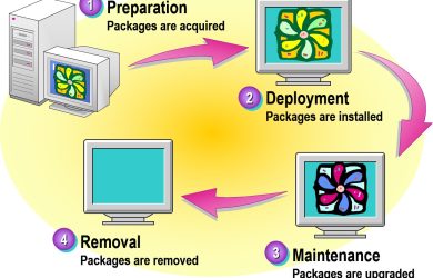 Examining the Software Life Cycle